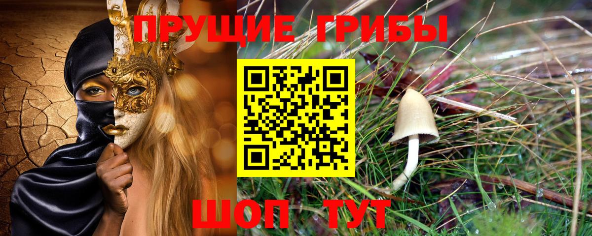 Минеральные Воды  Псилоцибиновые грибы мухоморы  Вход с VPN  продажа наркотиков  Псилоцибиновые грибы прущие грибы 